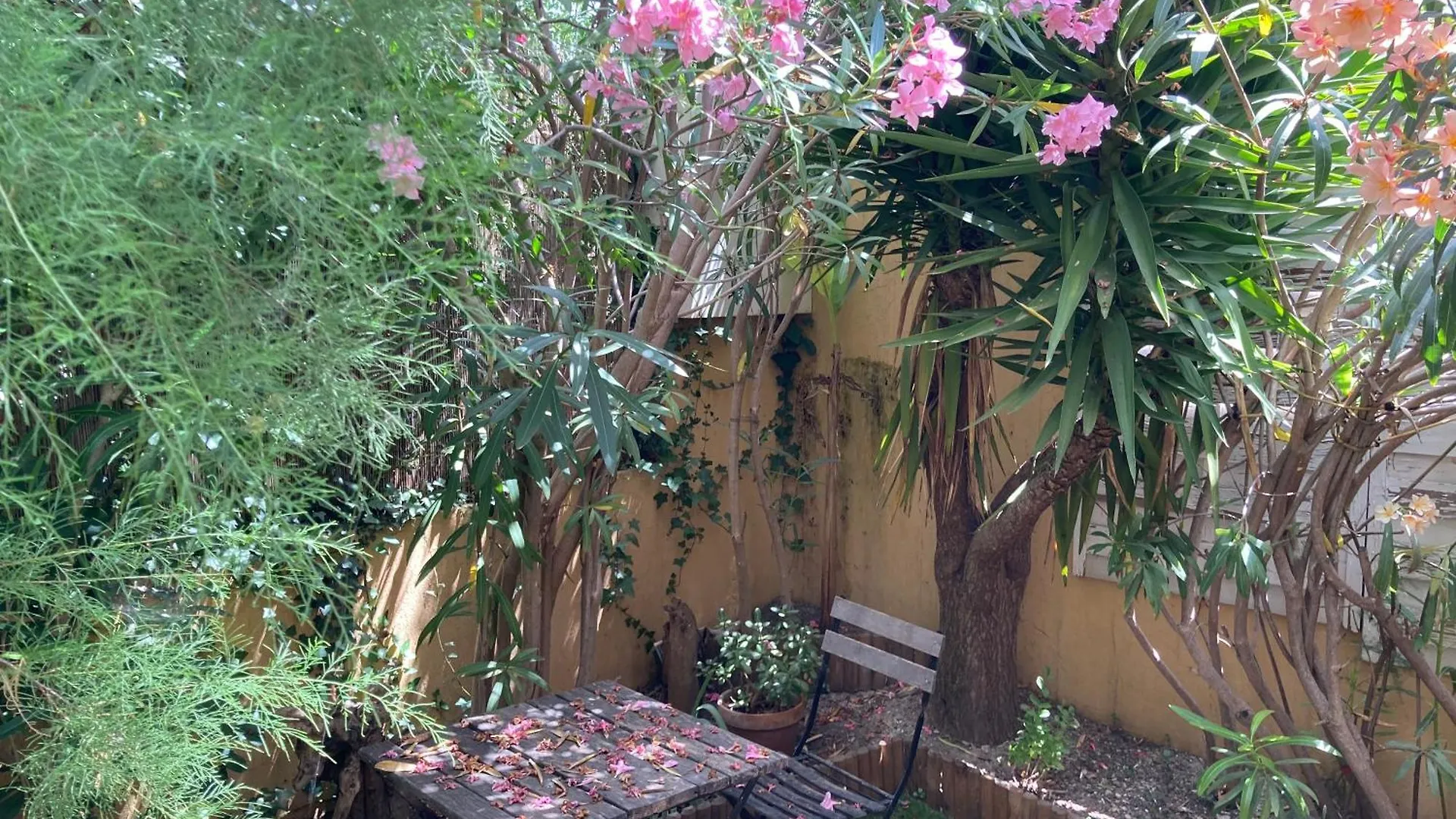 T2 Traversant Avec Une Grande Terrasse Et Piscine Cagnes-sur-Mer